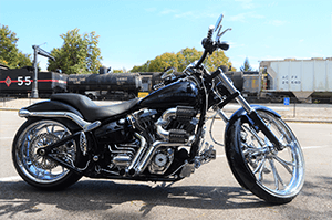 Harley-Davidson® Customs